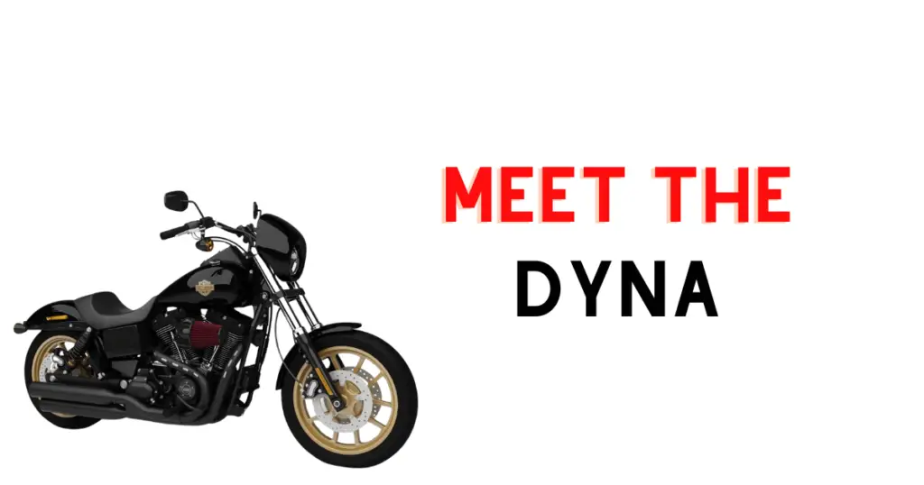 Custom infographic introducing the Dyna series motorcycle from Harley Davidson