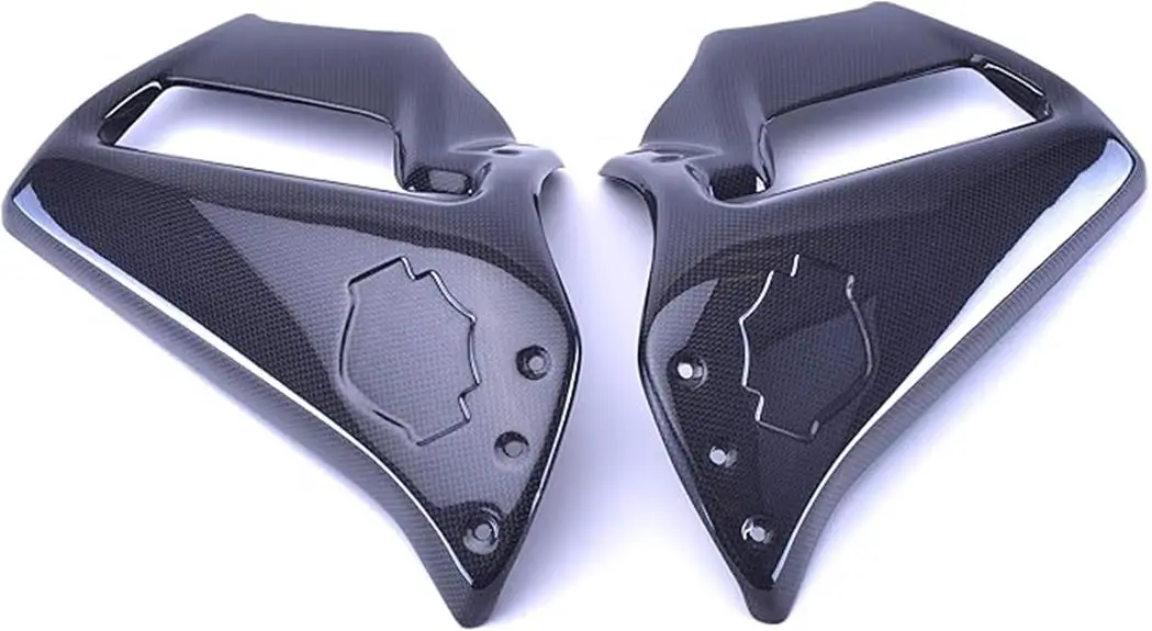 black carbon fiber fairings